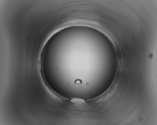 X0000103271531200809051455
