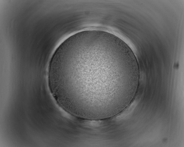 X0000103271533200809051455