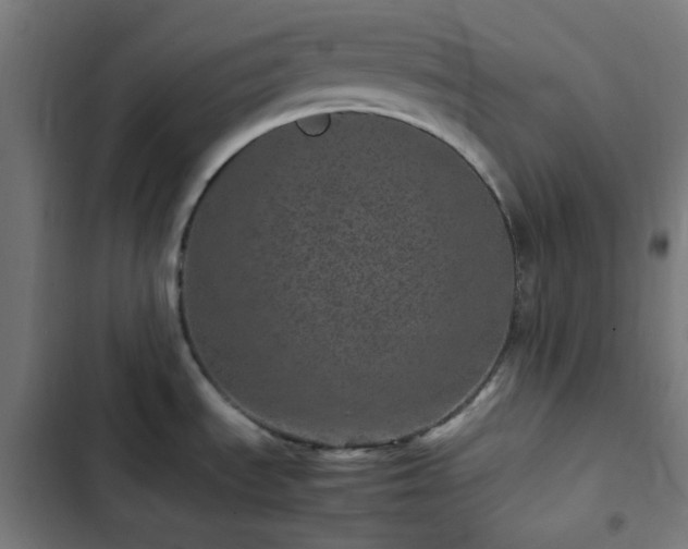 X0000103271535200809051455
