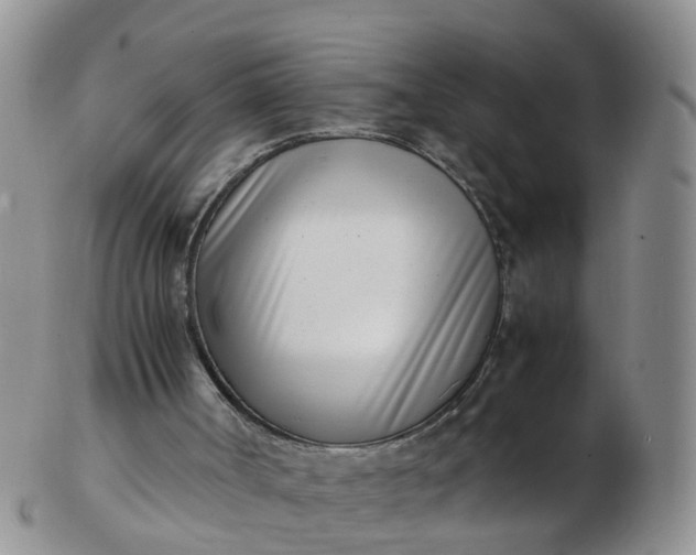 X0000103270002200809122146