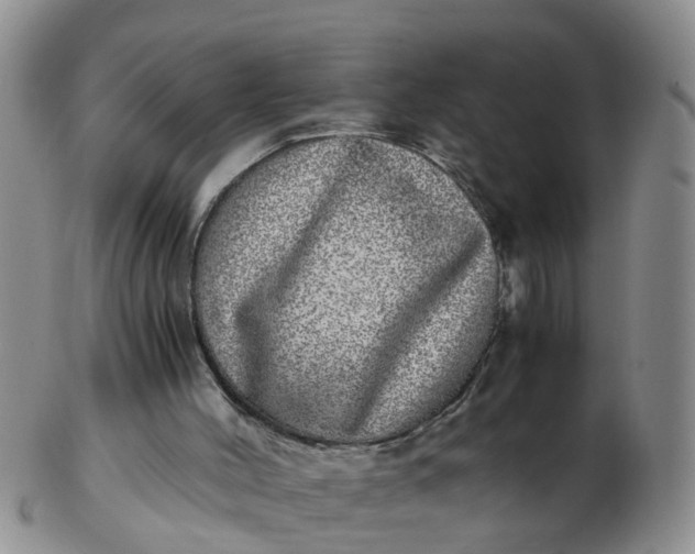 X0000103270004200809122146