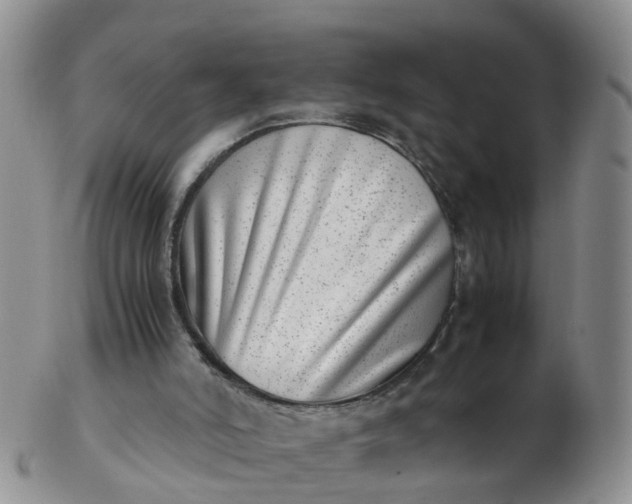 X0000103270006200809122146