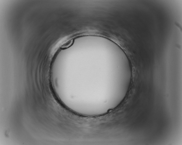X0000103270007200809122146