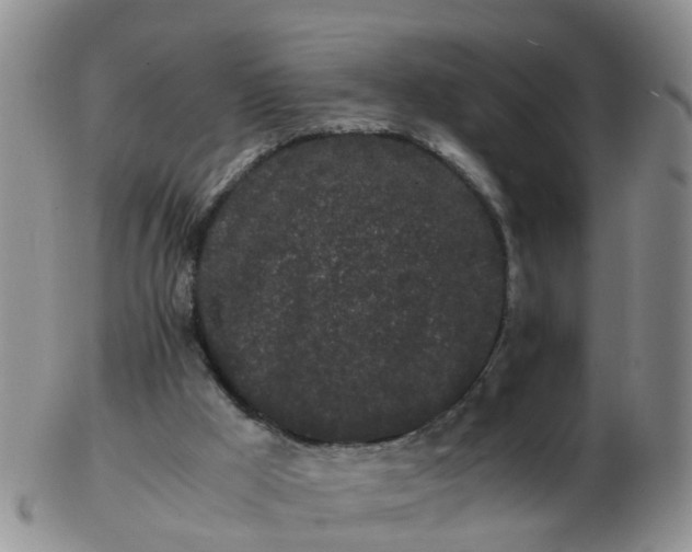 X0000103270009200809122146