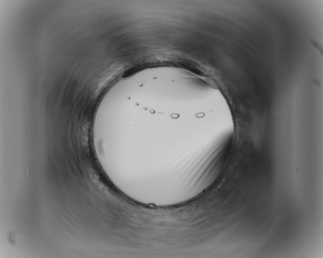 X0000103270010200809122146