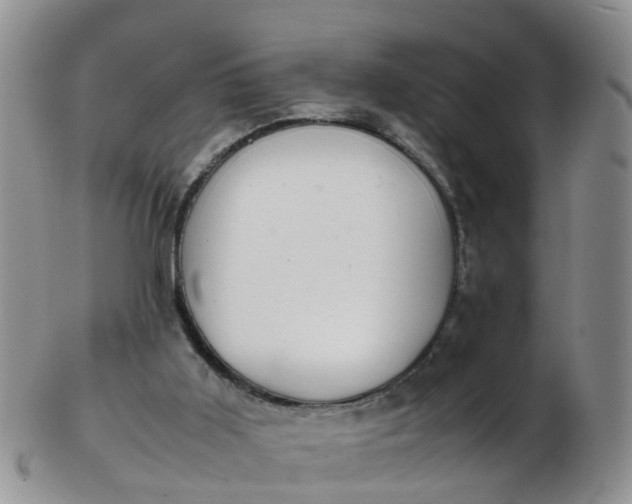 X0000103270011200809122146