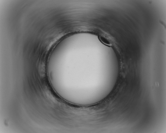 X0000103270012200809122146