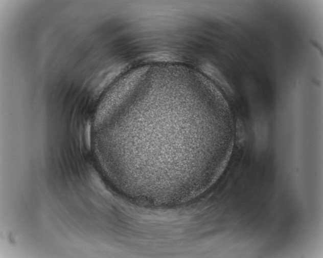 X0000103270014200809122146