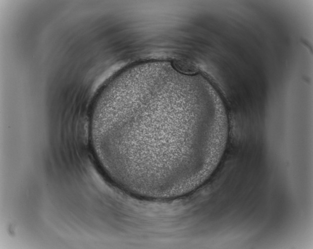 X0000103270016200809122146