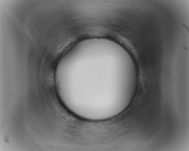 X0000103270017200809122146
