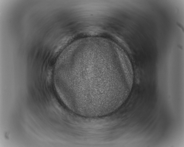 X0000103270018200809122146