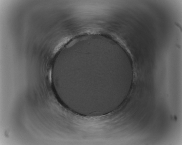 X0000103270019200809122146