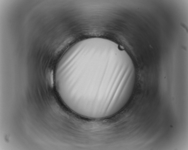 X0000103270020200809122146