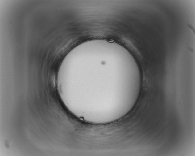 X0000103270021200809122146