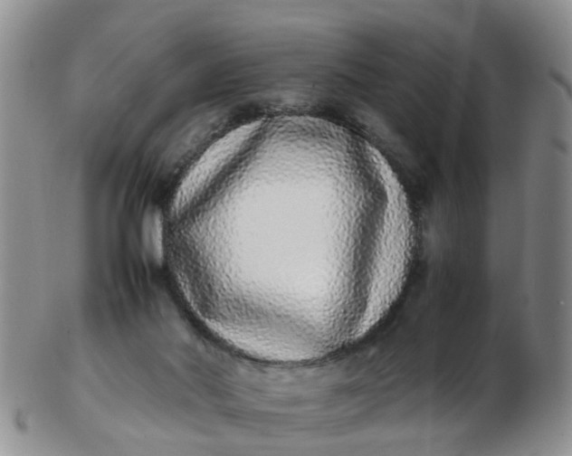 X0000103270022200809122146