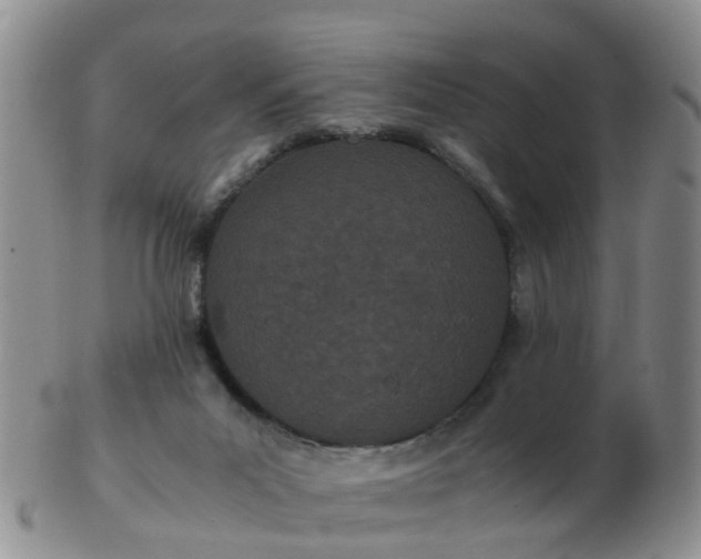 X0000103270023200809122146