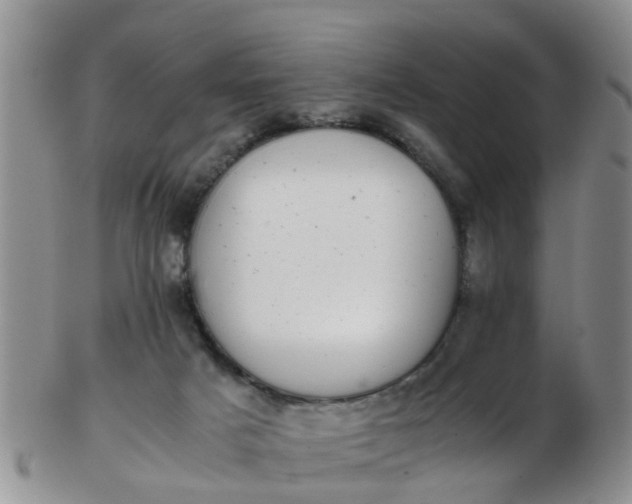 X0000103270025200809122146