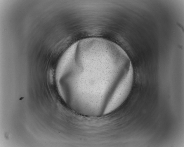 X0000103270026200809122146