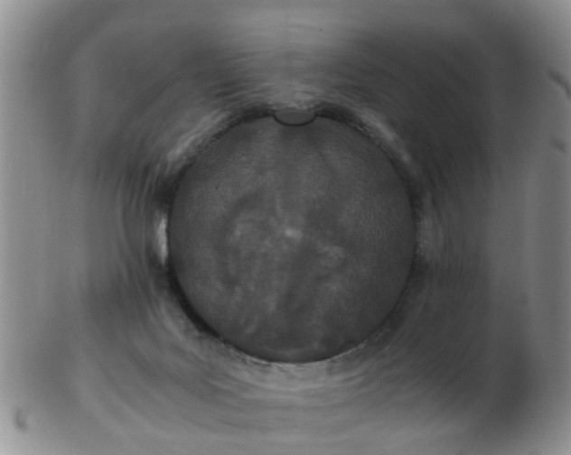 X0000103270027200809122146