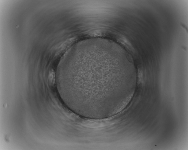 X0000103270029200809122146