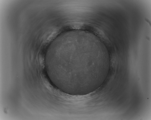 X0000103270031200809122146