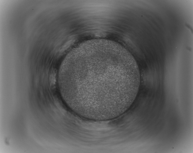 X0000103270032200809122146