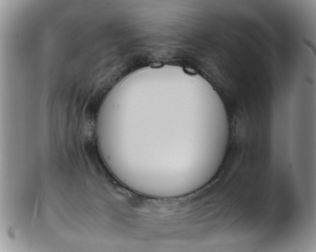 X0000103270033200809122146