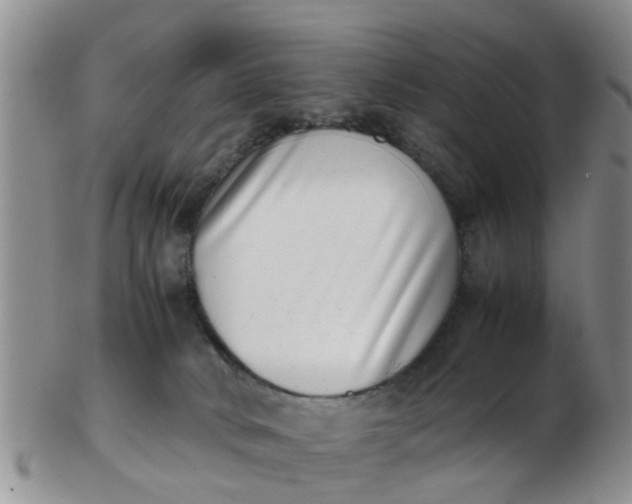 X0000103270034200809122146