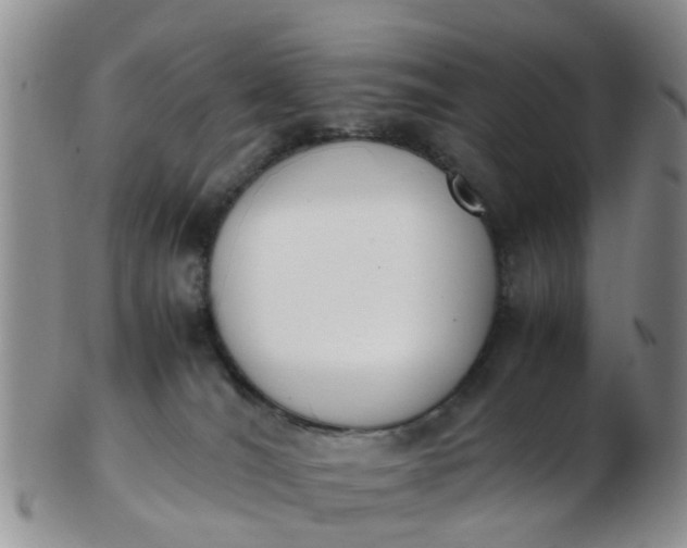 X0000103270036200809122146