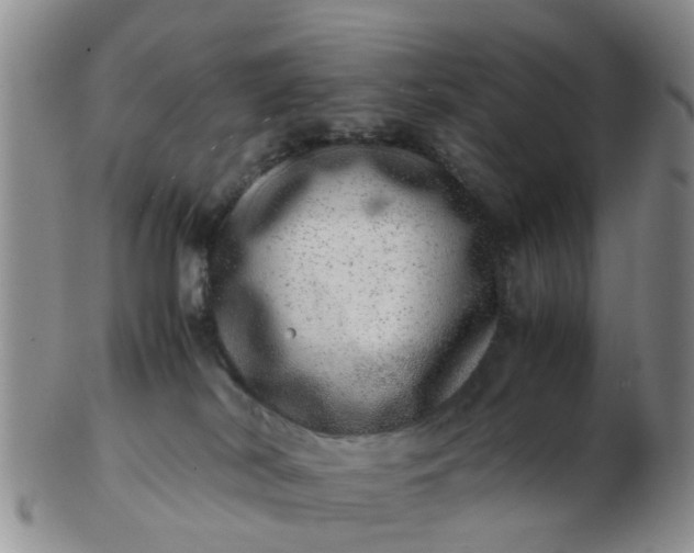 X0000103270038200809122146