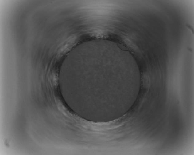 X0000103270039200809122146