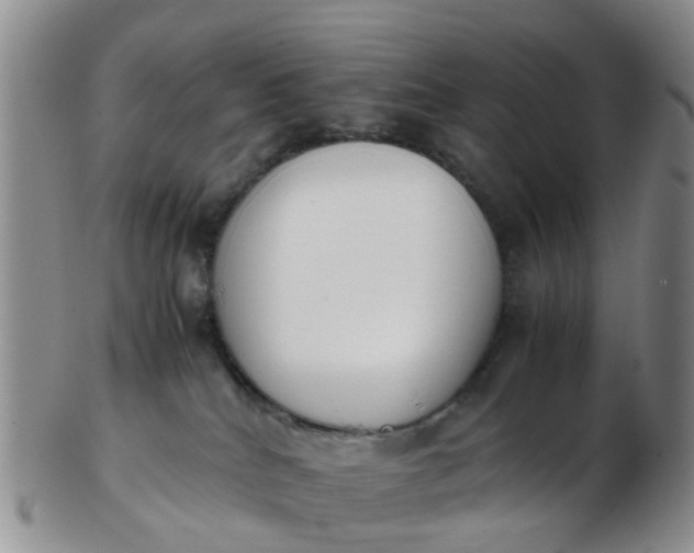 X0000103270040200809122146