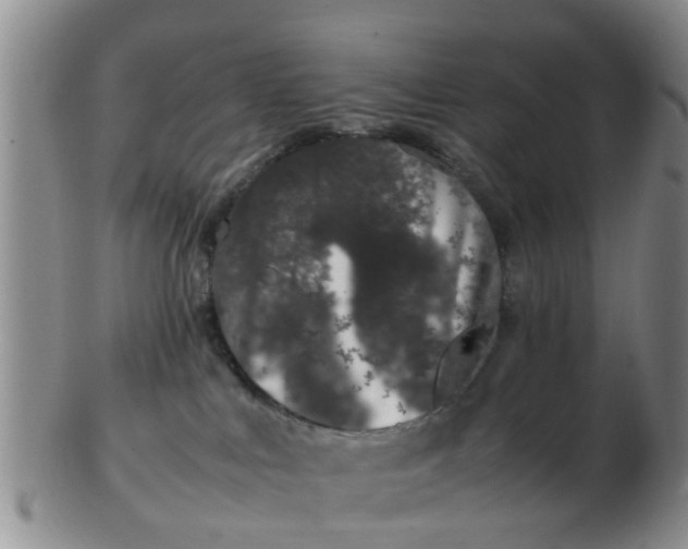 X0000103270043200809122146