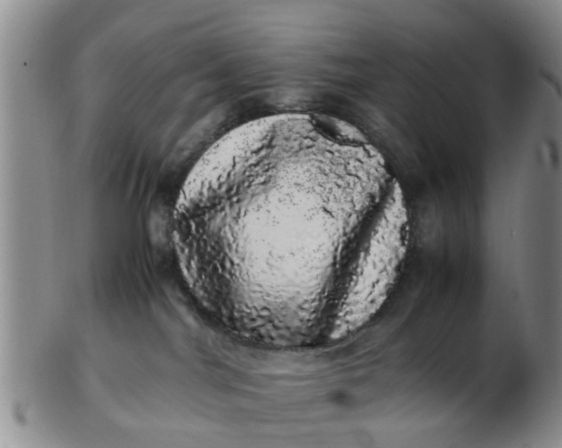 X0000103270044200809122146