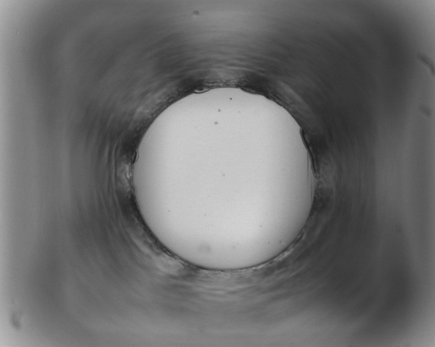 X0000103270045200809122146
