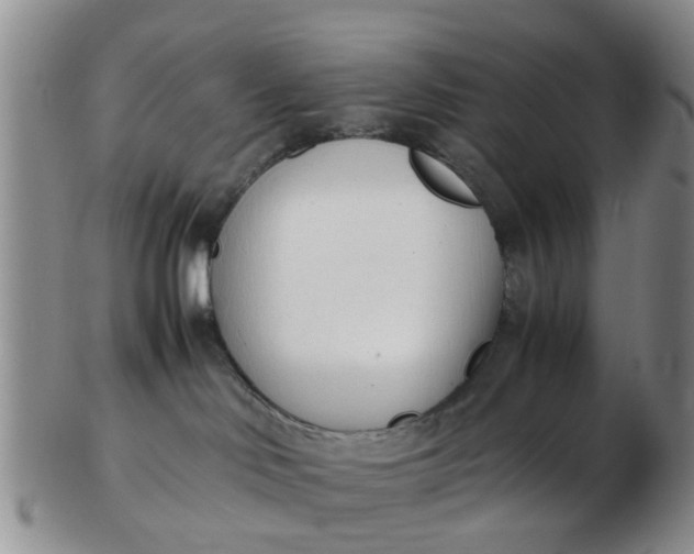 X0000103270046200809122146