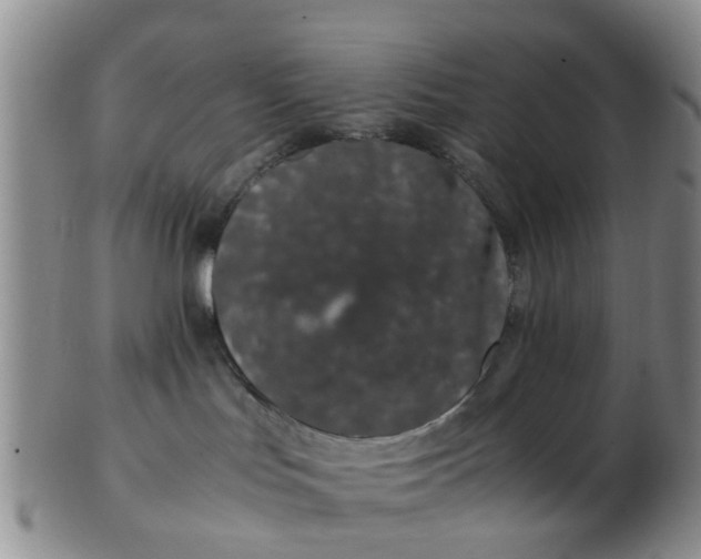 X0000103270047200809122146