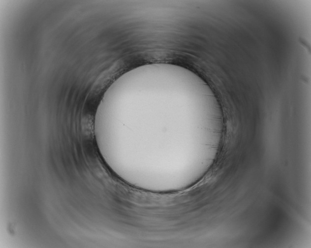 X0000103270048200809122146