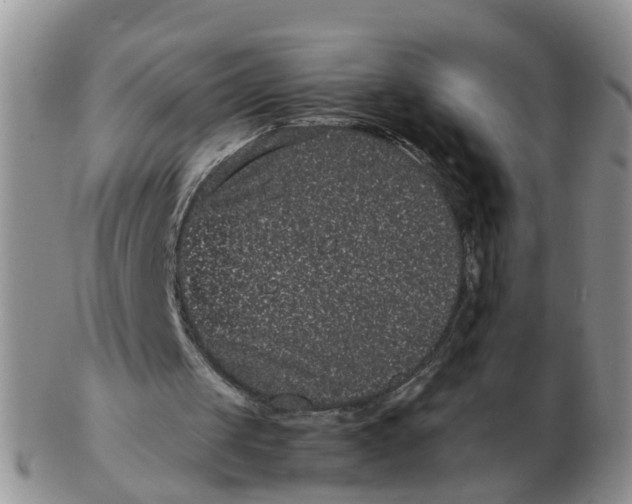 X0000103270049200809122145