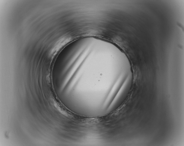 X0000103270050200809122145