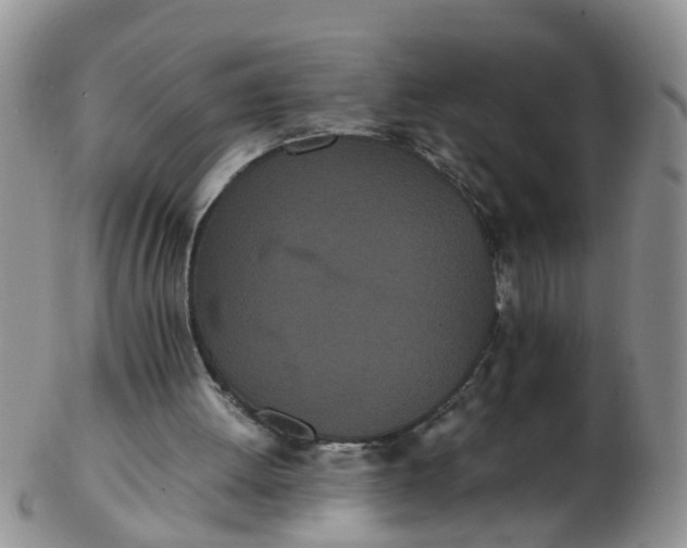X0000103270052200809122145