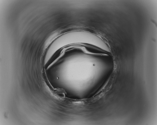 X0000103270053200809122145