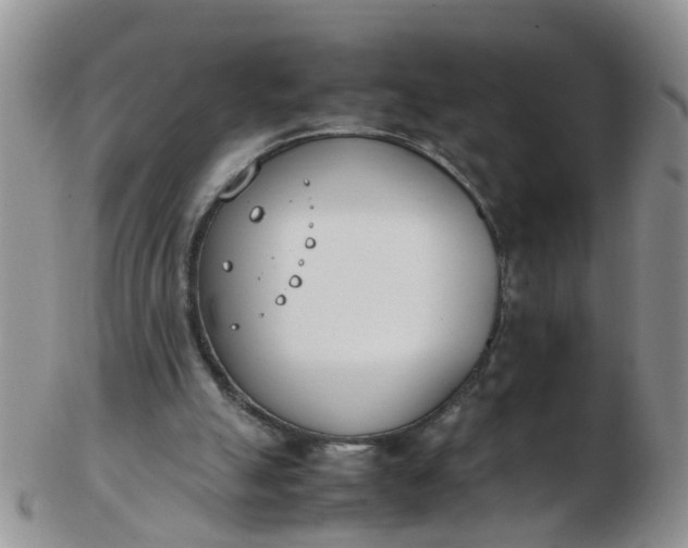 X0000103270055200809122145