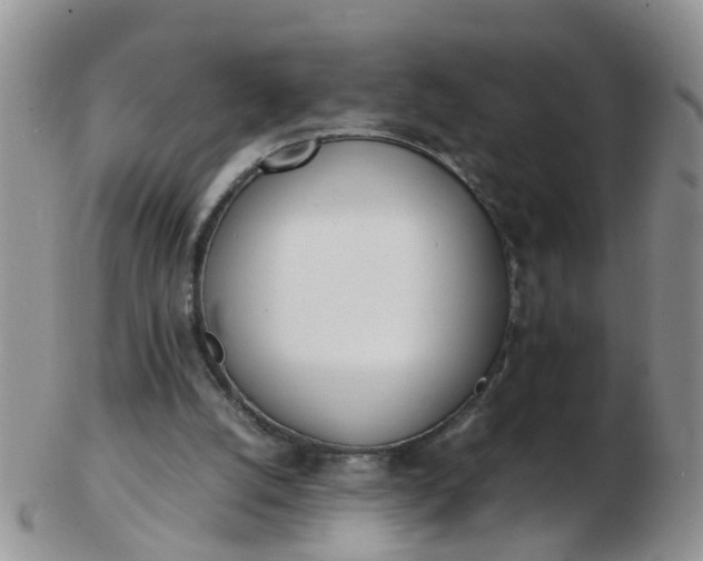 X0000103270056200809122145