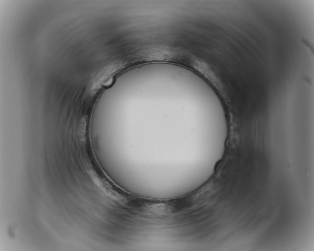 X0000103270058200809122145