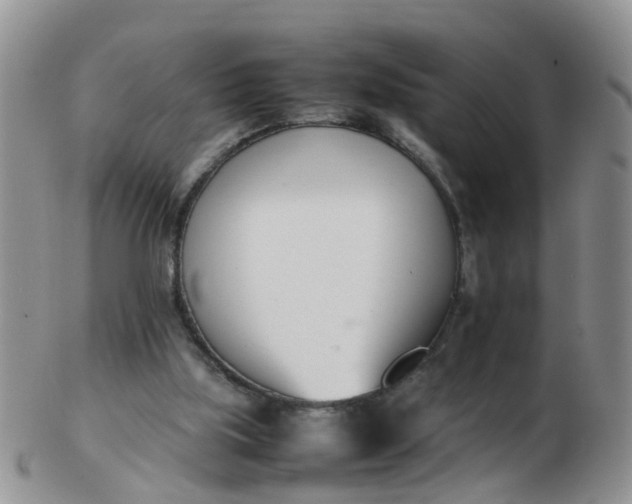 X0000103270059200809122145