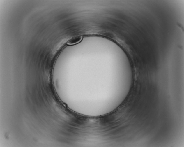 X0000103270060200809122145