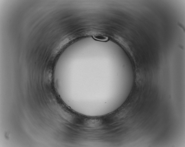 X0000103270063200809122145