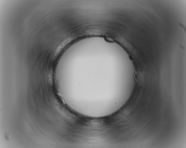 X0000103270064200809122145