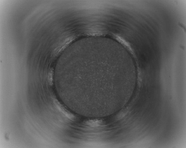 X0000103270065200809122145